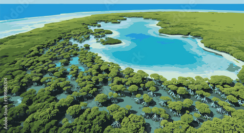 Aerial view of a mangrove forest bordering a turquoise lagoon and ocean