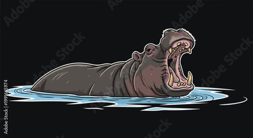 Aggressive hippopotamus breaching from water with mouth wide open
