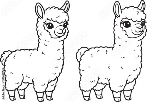 Cute cartoon llamas black and white outline for coloring page line art white background farm animal domestic animal petting zoo guaranteed animal baby animal young animal friendly