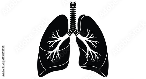 Silhouette of human lungs for medical anatomy and respiratory health.