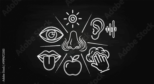 Chalkboard drawing depicting the five senses with icons sight, smell, hearing, taste, touch