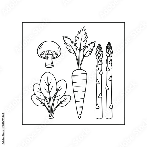 Set of organic vegetable icons featuring mushroom carrot asparagus and spinach leaves in a square frame