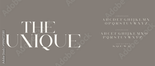 A modern typography design with the words 'The Unique' in large white letters on a brown background