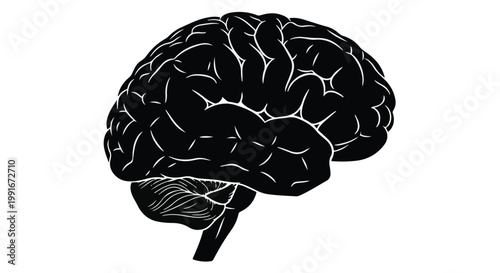  Silhouette of a human brain for medical anatomy and mental health.