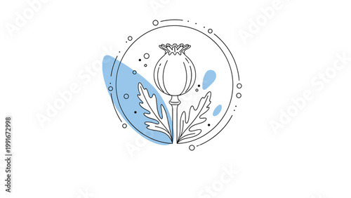 Artistic line drawing of a poppy seed pod with jagged leaves and blue abstract watercolor shapes in a circular frame.