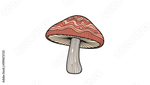 Artistic illustration of a wild mushroom with complex wavy patterns on its reddish cap and a textured stem on white background.