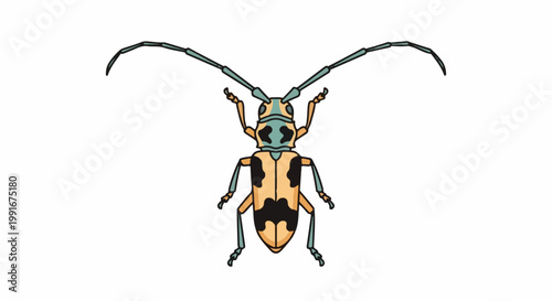Cartoon illustration of a spotted beetle with long antennae and legs