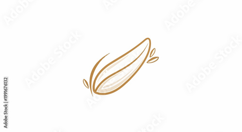 Artistic golden outline of a stylized seed or bean pod with accents