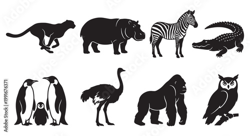High-Detail Wild Animal Silhouette and Vector Set