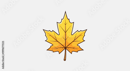 Bright yellow maple leaf with dark outline and vein detail