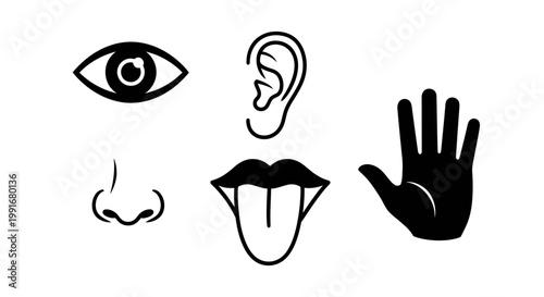 Human Body Parts Face Hand.