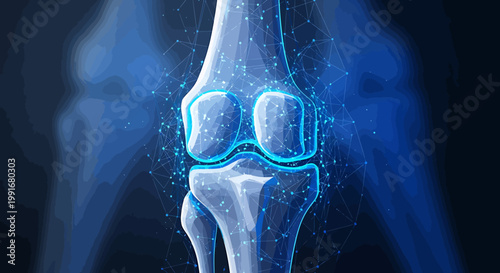 Human knee joint bone structure.