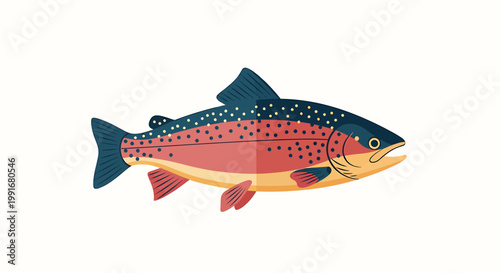 Illustration of a single trout fish swimming isolated on white background.