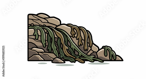 Jagged rocks with dangling seaweed in green and brown hues