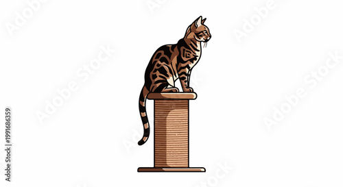 Bengal cat perched on a sisal rope scratching post