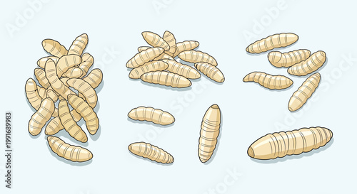 Larvae insects worms maggots crawling.