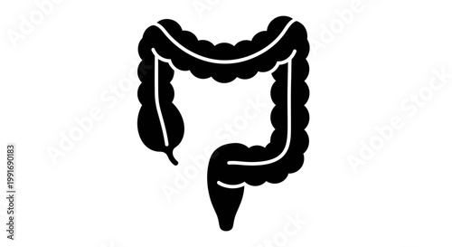 Medical Illustration of Human Colon in Black and White.