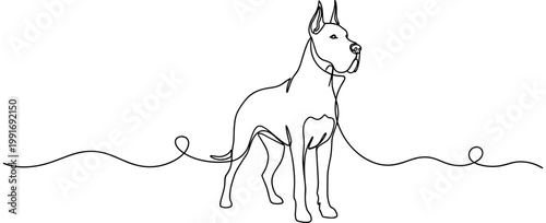 Great dane standing alert in continuous line on white background, none editable strokes