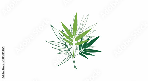 Stylized illustration of bamboo leaves in various shades of green