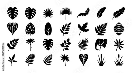 Tropical leaf silhouette collection, 28 black botanical icons, monstera and palm foliage vector set, exotic jungle plant elements for minimalist design