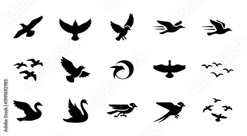 Photos Minimalist flying bird silhouettes, set of 15 black avian icons, soaring eagle a