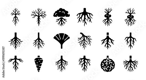 Minimalist tree root system icons, set of 18 black silhouette plant roots, botanical underground growth vector elements for biology and nature design