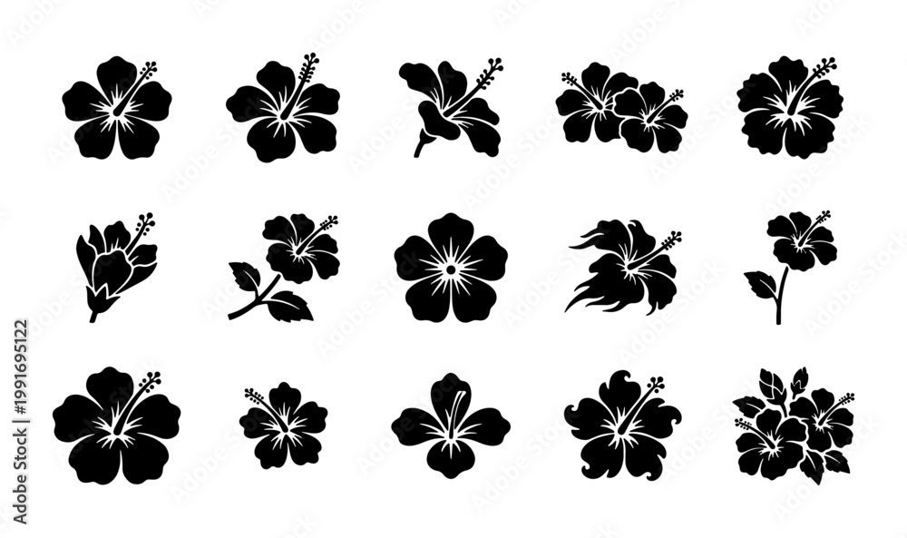 Obraz premium Tropical hibiscus flower silhouettes, set of 15 black floral icons. Exotic Hawaiian bloom vector graphics. Minimalist botanical plant elements for summer design.