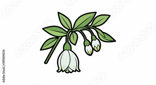 Stylized illustration of a flowering plant with delicate white blossoms