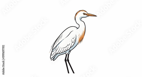 Stylized illustration of a white heron with orange accents on its neck
