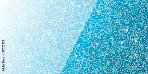 Turing Abstract Pattern, suitable for any business. White and blue color diffusion reaction seamless pattern. abstract Reaction-diffusion or Turing pattern formation, coral reef, natural texture.	