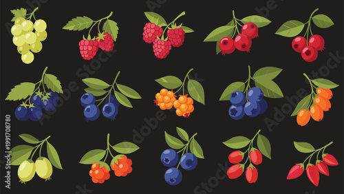 Detailed collection of various fresh berries and small fruits including grapes, raspberries, blueberries, and cranberries on dark.