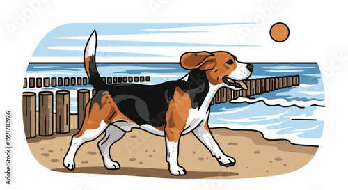 A beagle dog walks on a sandy beach near the ocean with wooden posts