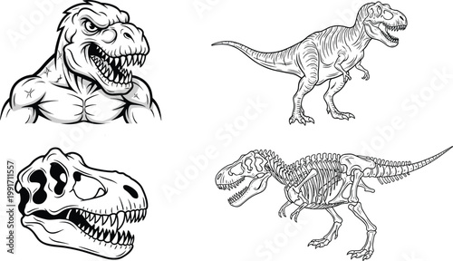 Tyrannosaurus Rex Dinosaur Vector Collection Featuring Aggressive Head Skull Skeleton and Full Body Line Art Illustrations for Coloring Pages Educational and Design Use