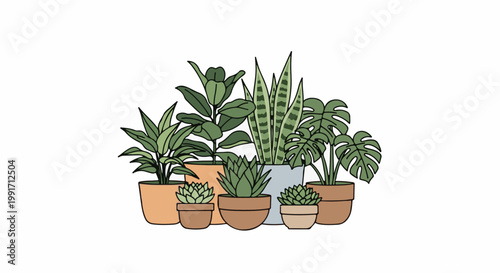 A collection of various green houseplants in terracotta and grey pots
