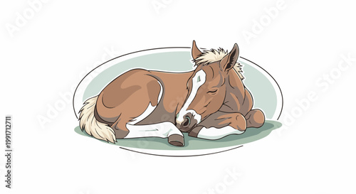 A brown and white foal sleeps peacefully on a light green background within an oval frame