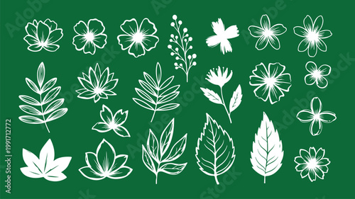 Abstract vector flowers and leaves drawn with ink brush. Black plant elements isolated on white background
