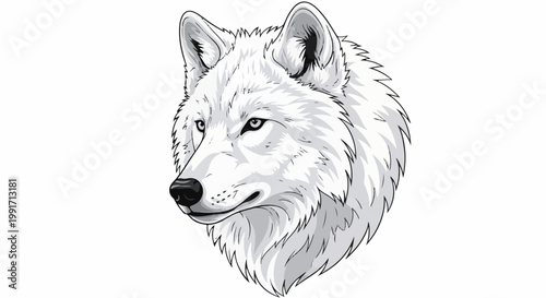 A close-up illustration of a white wolf's head, detailed with fur texture and piercing eyes