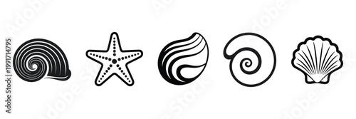 Sea Shells Flat Vector Illustration Set, Marine Ocean Elements Collection with Minimal Design, Isolated on White Background for Beach Theme, Summer Graphics, and Coastal Decoration