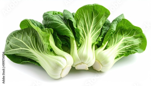 Fresh, vibrant bok choy heads in a white backdrop