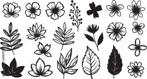 Abstract vector flowers and leaves drawn with ink brush. Black plant elements isolated on white background