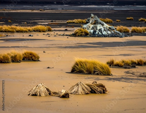 Desert landscape with sparse vegetation, straw mounds, and rocky outcrop
