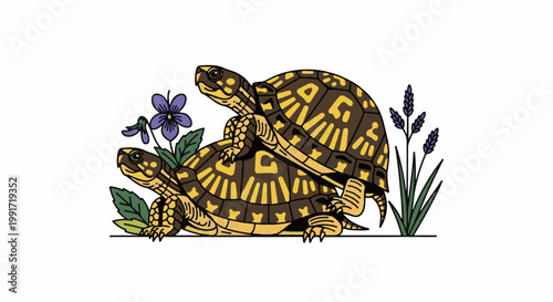 Two turtles and flowers illustration