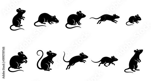 Black mouse silhouette collection, set of 10 rodent vector icons in various poses, minimalist rat silhouettes for pest control and wildlife design