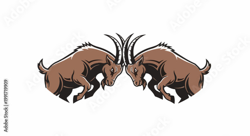 Two brown horned animals charging headfirst with their horns locked