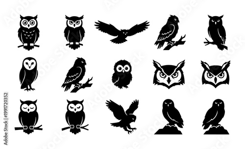 Black owl silhouette collection, 15 bird of prey vector icons, nocturnal animal symbols, wild forest owl graphics for logo design and branding