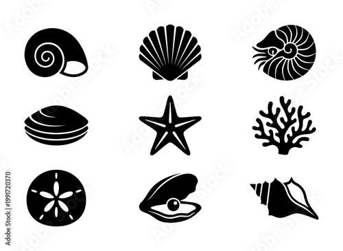 Seashell black silhouette icons set, 9 nautical ocean life vector elements, minimalist sea shell and starfish collection for summer branding