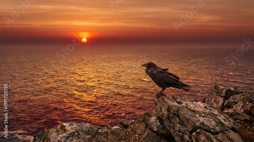 Black raven bird perched on a rocky cliff overlooking the sea at sunset. Dramatic golden hour sky and ocean landscape.