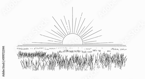 Stylized sunrise over a field of grass