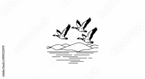 Three geese flying over rolling hills and water in a line drawing