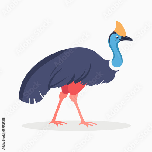 Stylized Illustration of a Cassowary Bird
